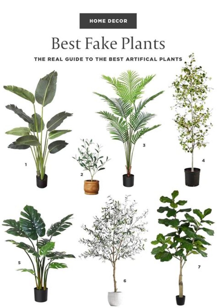 14 Best Fake Plants That Will Fool Everyone