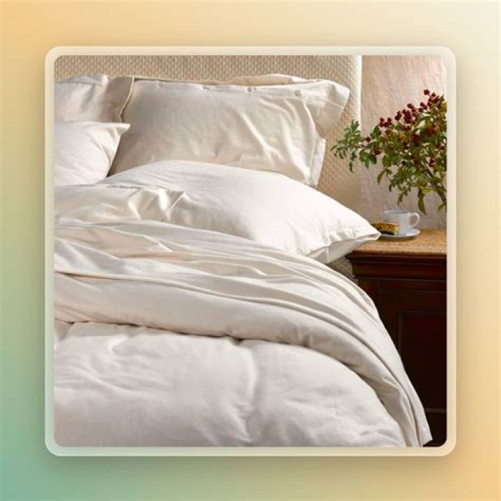 Eco-Friendly Bedding: 15 Sustainable Brands