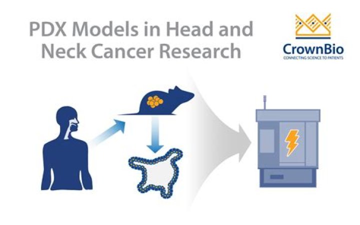 Head and Neck Cancer Research
