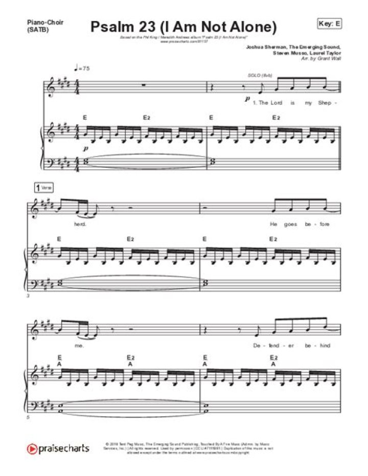 Psalm 23 (I Am Not Alone) by Phil King, Meredith Andrews