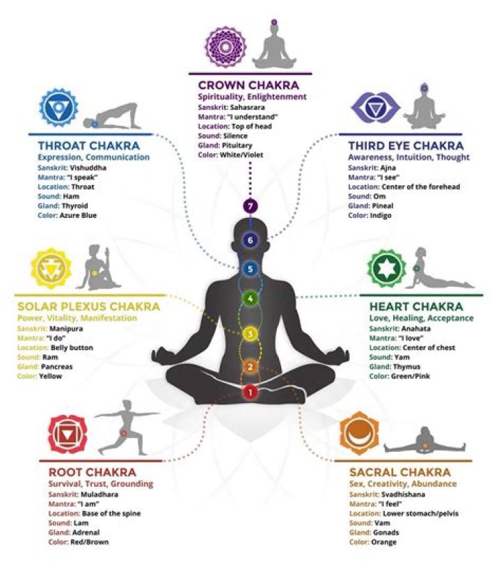The 7 chakras in body