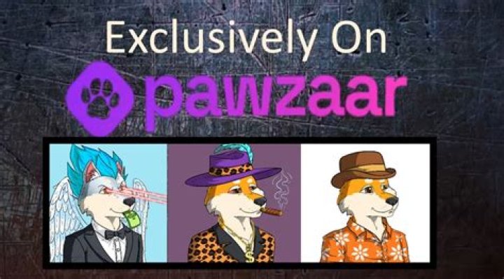 The Shib Dream NFT Collection: The NFT Collection That Can Respark Enthusiasm