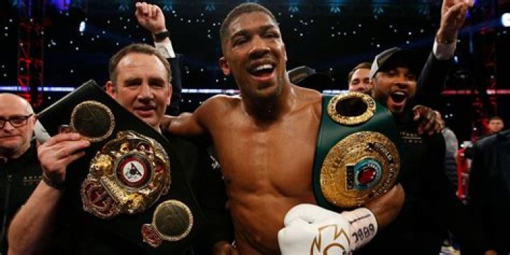 Top 5 Greatest Knockouts by the World Boxing Champion