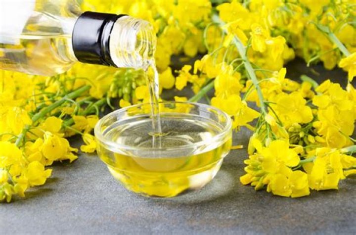 What Is Rapeseed Oil, and Is It Healthy?
