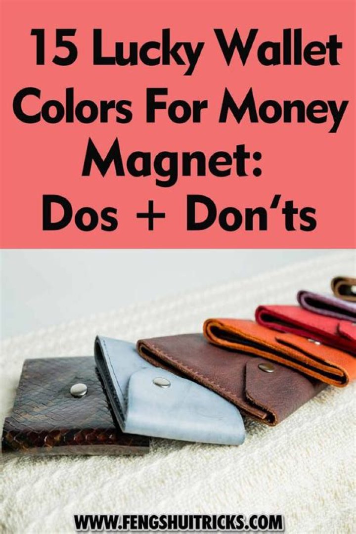 What to Keep in Wallet to Attract Money? Find out Which Colour Wallet is Good for Money!