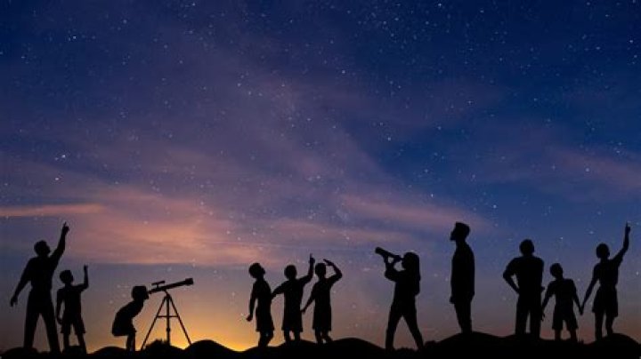 Where To Watch, Plot, Ending & More