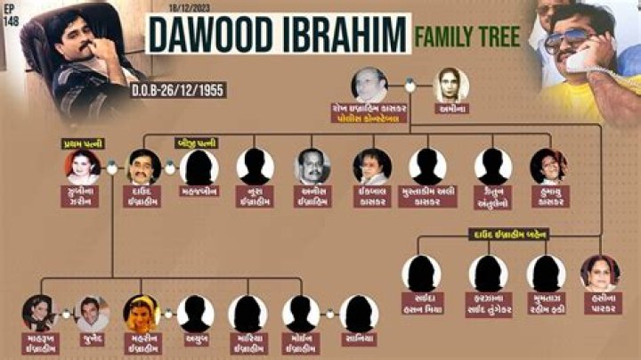 Who Is Christine Dawood? What Did The Shahzada Dawood Family Go Through After The Implosion?